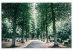 Bremen - Riensberger Friedhof
