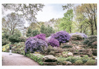 Bremen - Rhododendronpark