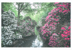 Bremen - Rhododendronpark