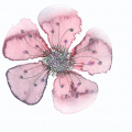 Watercolour: Glitter Flower