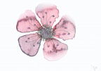 Watercolour: Glitter Flower