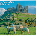 [Tentative] The Royal Sites of Ireland: Cashel, Dún Ailinne, Hill of Uisneach, Rathcroghan Complex, and Tara Complex