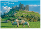 [Tentative] The Royal Sites of Ireland: Cashel, Dún Ailinne, Hill of Uisneach, Rathcroghan Complex, and Tara Complex