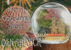 Christmas - Snow Globe Osnabrück