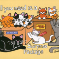 079 - All You Need is a Surprise Package