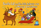 106 - Santa Cat and the Little Helpers