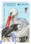 [BY 2019] White Stork