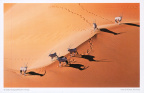 02 Namib Sand Sea