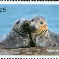 [2010] Meeresschutz – Robben
