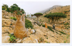 04 Socotra Archipelago