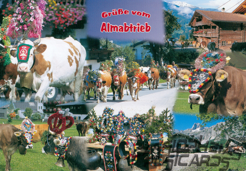 06 Transhumance, the seasonal droving of livestock along migratory routes in the Mediterranean and in the Alps
