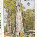 [SK 2011] Forests