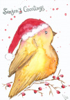 Christmas: Robin