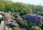 Bremen - Rhododendronpark