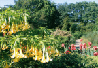 Bremen - Rhododendronpark