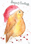 Christmas: Robin