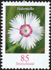 Blumen: 0,85 Federnelke