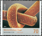 [2017] Menschliches Haar