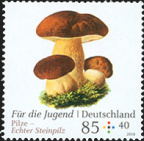 [2018] Pilze Echter Steinpilz