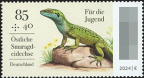 [2024] Reptilien     Östliche Smaragdeidechse