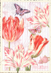 0784 - Flowers