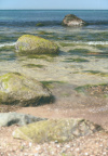 Sea