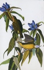 05 Elfenspiegel