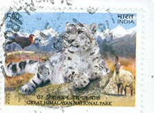[IN] Great Himalayan NP 2020