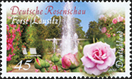 [2013] Deutsche Rosenschau Forst (Lausitz).jpg