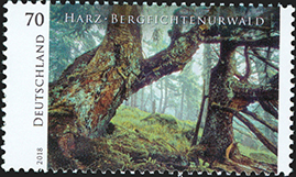 [2018] Harz – Bergfichtenurwald