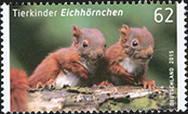 2015 - Eichhörnchen