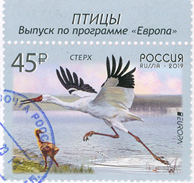 [RU 2019] Siberian Crane