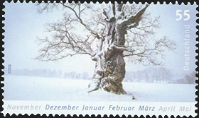 [2006] Winter, Verschneite Eiche am Reinhardswald