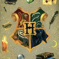 School of Witchcraft & Wizardry