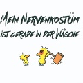 Nervenkostüm