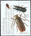 [2021] Gefährdete Wildtiere