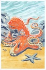 Octopus