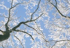 Wintertraum