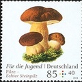 [2018] Pilze Echter Steinpilz