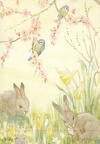 Rabits + Tits
