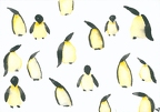 Penguins