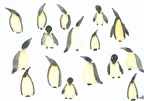 Penguins