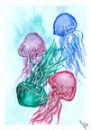 Jellyfish