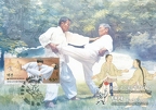 12 Taekkyeon, a traditional Korean martial art