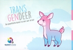 Transgendeer