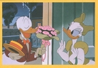Donald + Daisy