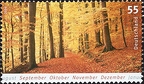 [2006] Herbst, Herbstlicher Buchenwald