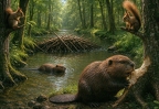 Beavers + Squirrels