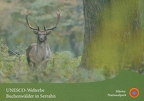 Müritz Nationalpark - Serrahn