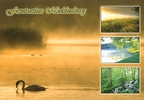 Mecklenburg - Multiview